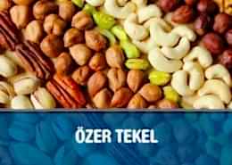 Özer Tekel