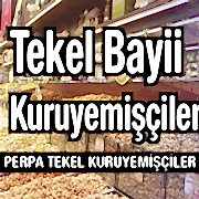 Tekel Bayileri Kuruyemişçiler