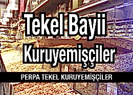 Tekel Bayileri Kuruyemişçiler
