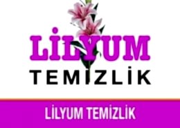 Lilyum Temizlik Ofis Temizliği Büro Temizliği