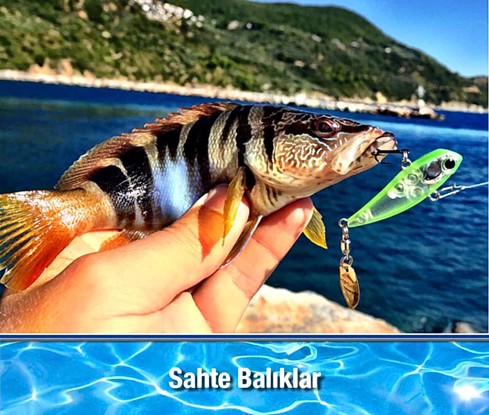 Sahte Balık Çeşitleri Suni Yemler