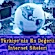 Türkiye'nin En Değerli İnternet Siteleri