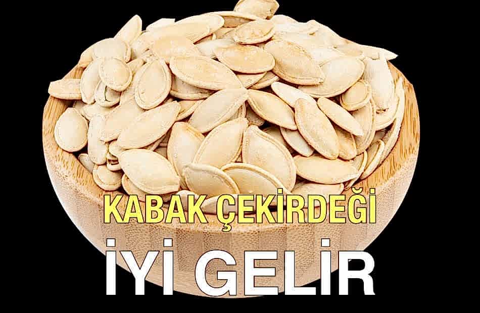 Çerezci Cafer Kabak Çekirdeği İyi Gelir